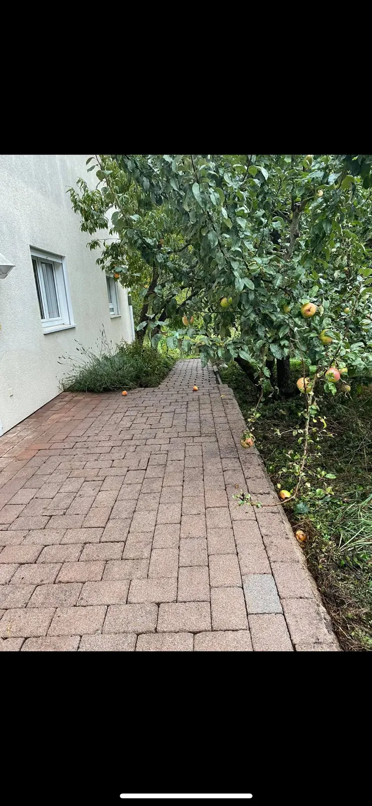 Gartenweg reinigen – Nachher