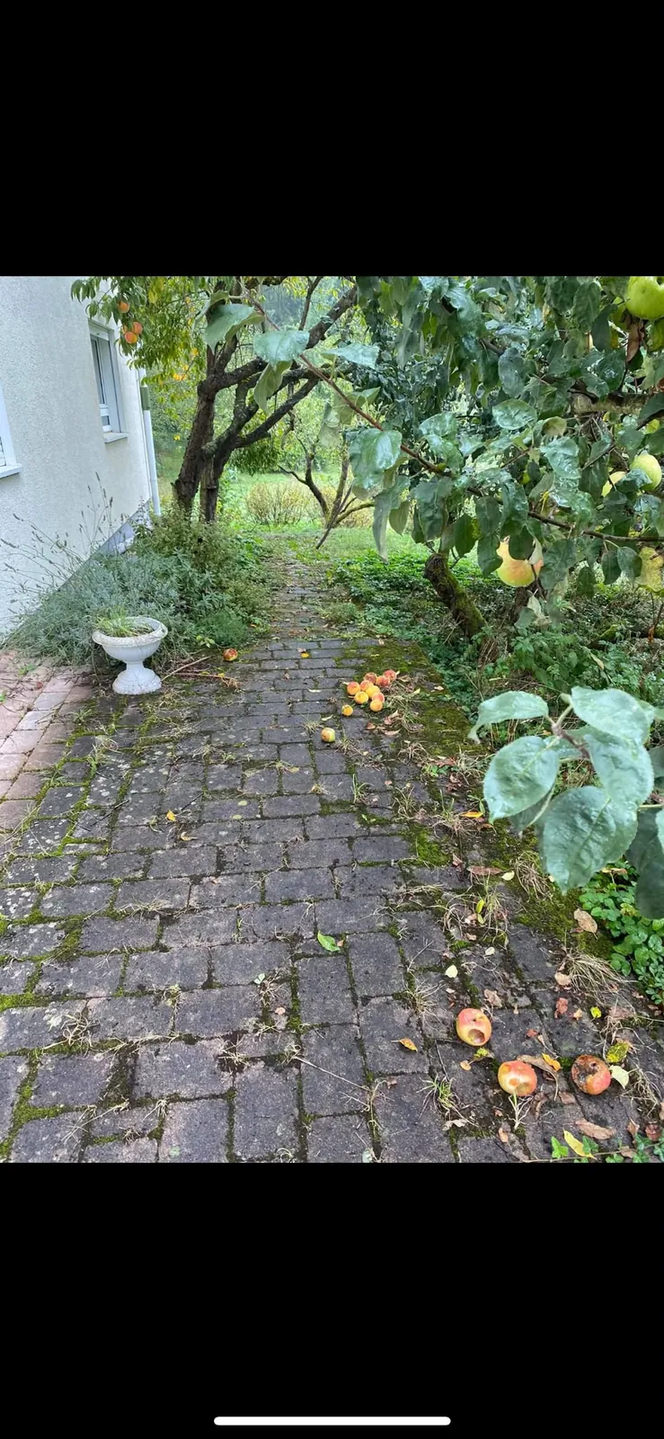 Gartenweg reinigen – Vorher